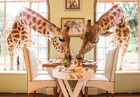 Giraffe Manor & Kenya Fly-In Safari